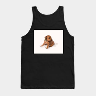 Miniature Pinscher puppy Tank Top